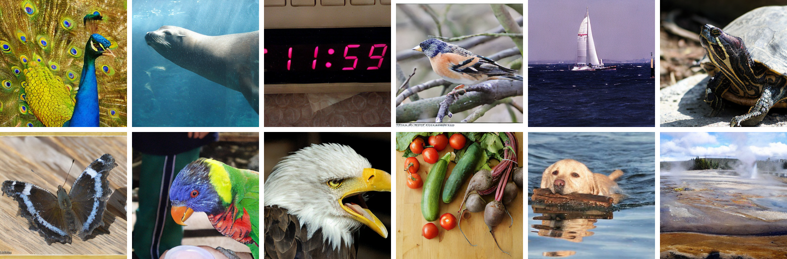 Selected Samples on ImageNet